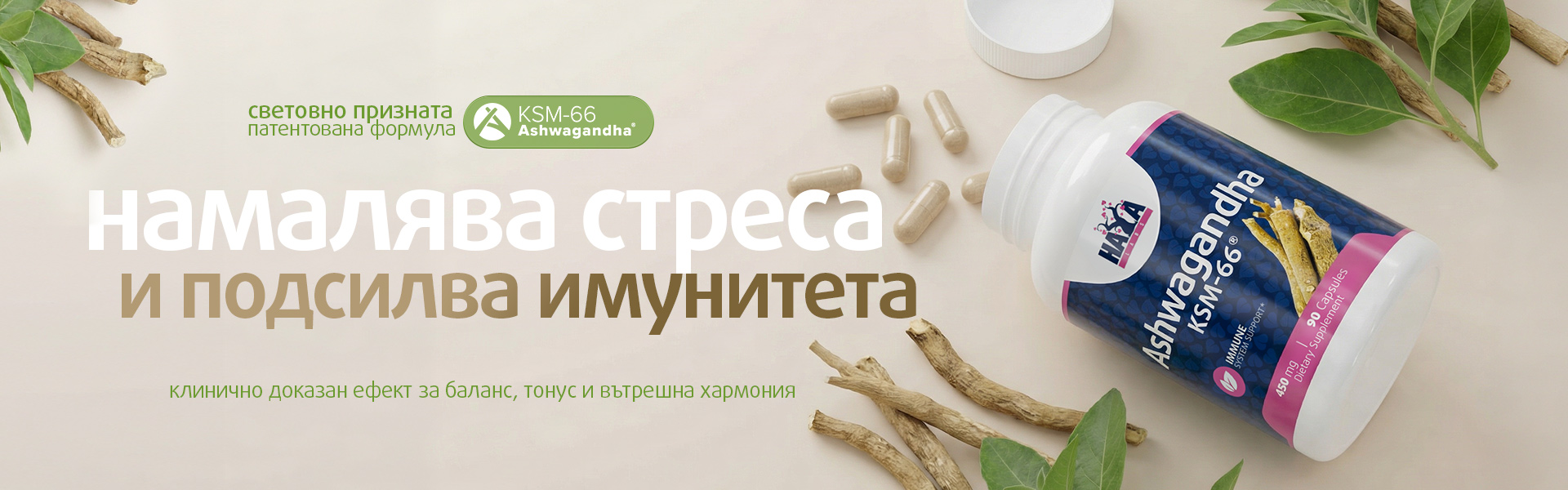 Ashwagandha KSM-66 / 90 Caps EN