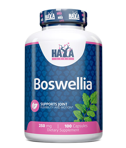 HAYA LABS Boswellia 250 mg / 100 Caps
