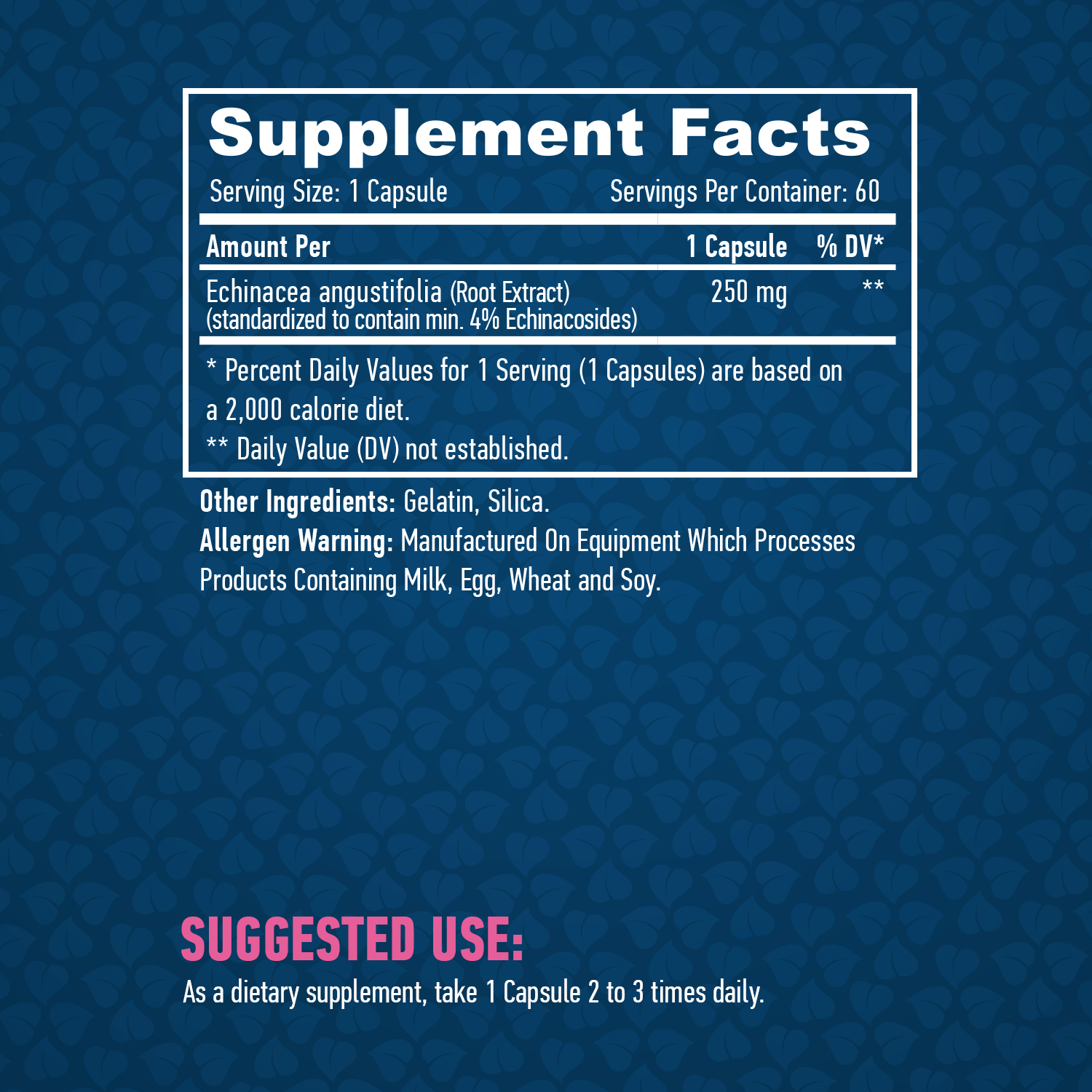 HAYA LABS Echinacea 250 mg / 60 Caps