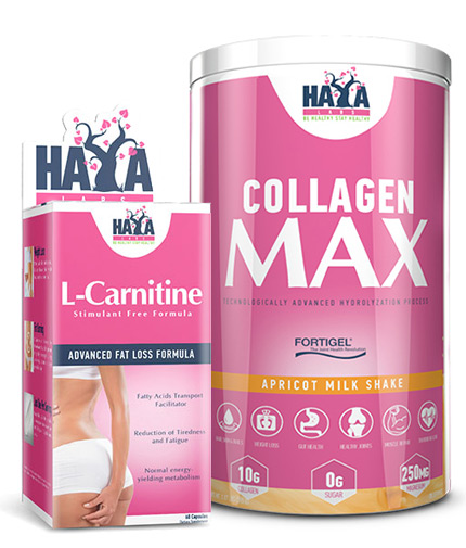 PROMO STACK Haya Labs Offer Stack 31